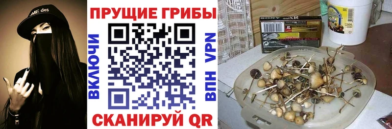 Псилоцибиновые грибы прущие грибы  blacksprut ссылки  Барыш  хочу  